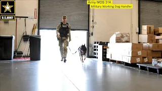Army Dog Handler-31K-Military Working Dog Handler