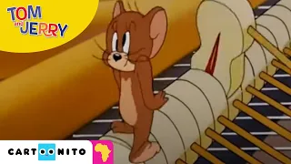 Tom and Jerry: Piano Showdown | Cartoonito Africa