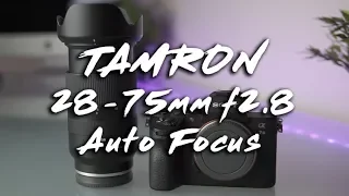 MUST HAVE SONY lens- Tamron 28-75mm f2.8 Full Review