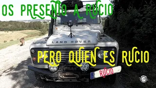 ¿Quién es Rucio? Os presento a Rucio. Mi Land Rover Defender Td4 2,4