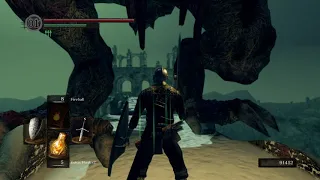 DARK SOULS™: REMASTERED Painted World of Ariamis Boss Shortcut