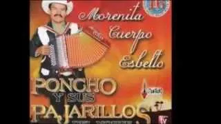 poncho  y  sus  pajarillos  el  costalito  verde