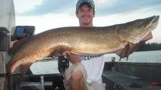 July 2013 WDH Musky Short II cut 3 HUGE Muskies