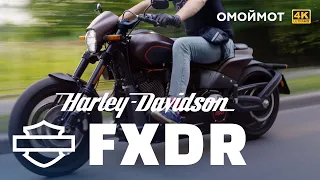 Harley-Davidson FXDR 114 — ОТВАЛ БАШКИ | Обзор Омоймот
