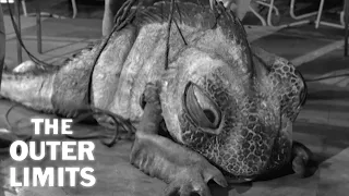 Scientists Capture An Ancient Lake Monster | The Outer Limits