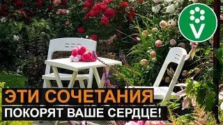 ЛУЧШИЕ СОСЕДИ РОЗ. Такой розарий прекрасен круглый год!