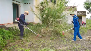 HOT VIDEO:30 days of cleaning up abandoned houses with many hidden dangers, confusing public opinion