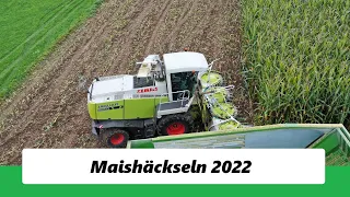 Maishäckseln 2022