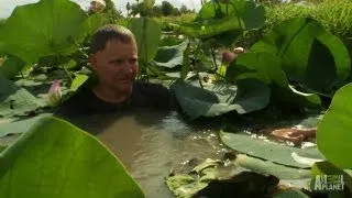 Catching a Snapping Turtle | Call of the Wildman
