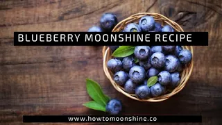Delicious Blueberry Moonshine