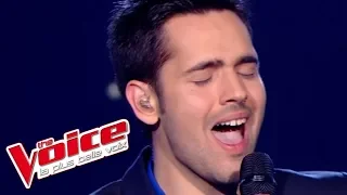 James Brown – It's a Man's Man's Man's World | Yoann Fréget | The Voice France 2013 | Prime 2