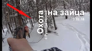 Охота на зайца 3 02 18