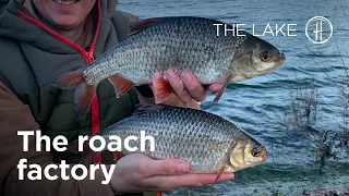 The Roach Factory - "THE LAKE" Episode 2