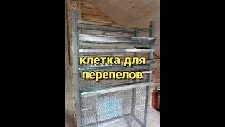 Многоярусная клетка для перепелов своими руками ( кормушки, поилки, поддоны)