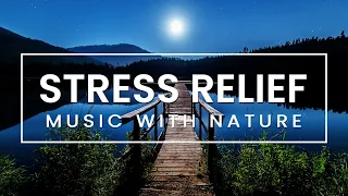 Soothing Stress Relief Music With Beautiful Nature | Stop Anxiety, Depression & Bad Vibes | Pavis