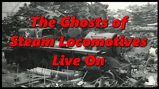 The Death of Steam Locomotives Started the Preservation Movement 🚂 History in the Dark 🚂