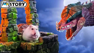 ⚔️ Hamster vs Dragon in the Dungeons & Dragons Maze ⚔️ Homura Ham Pets