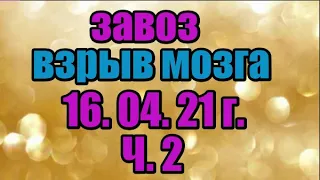 🌸Продажа орхидей. ( Завоз 16.04.21 г.) 2 ч. Отправка только по Украине. ЗАМЕЧТАТЕЛЬНЫЕ КРАСОТКИ👍
