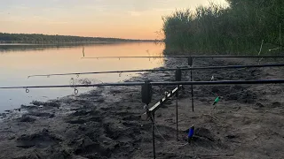 Чапаи. Рыбалка с ночевкой на платном водоеме с шуриным. Батл снастей, а в конце еще и гостья пришла!