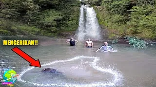 Wisatawan Gempar!! Tiba² Muncul Kepala Anaconda Raksasa Dibawah Air Terjun!! Semuanya Kabur...