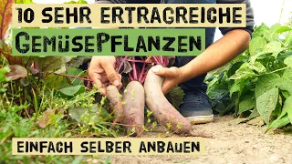 Diese ertragreichen Gemüsepflanzen kann jeder im eigenen Garten anbauen - Selbstversorgung zu Hause