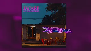 SOFI TUKKER - Jacaré (Cat Dealers Remix) [Ultra Records]