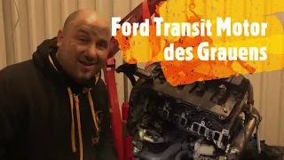 Ford-Transit-Motor-des-Grauens😮Glühkerzen-zum-Heulen😥Alles-voller-Öl Besser-Verschrotten-oder