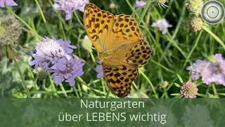 Die 5 Säulen eines Naturgartens -  Naturgärten sind wichtiger denn je!! Wie gehe ich vor!