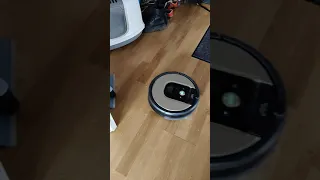 Roomba 976 doing spot cleaning, vacuuming cat litter