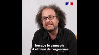 Cannabis & concentration : l'avis de l'expert