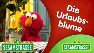 Folge 2922: Die Urlaubsblume | Sesamstraße | NDR