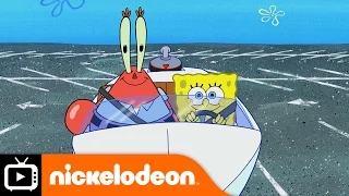 SpongeBob SquarePants | Driving Lessons | Nickelodeon UK