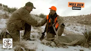 Heavy Mule Deer Buck in Nebraska Sand Hills