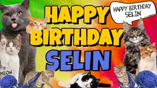 Happy Birthday Selin! Crazy Cats Say Happy Birthday Selin (Very Funny)