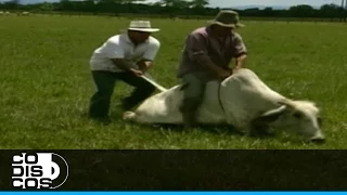 Galerón Llanero, Alfredo Rolando Ortiz - Video Oficial