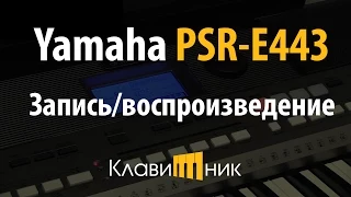 Синтезатор Yamaha PSR E443. Запись/воспроизведение (4/5)
