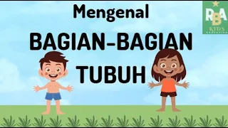 MUDAH !!! Mengenal Bagian Tubuh  || Belajar untuk Balita PAUD TK