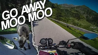 ADVENTUROUS RIDE THROUGH AUSTRIAN PARADISE (Sölkpass) [RAW Onboard]