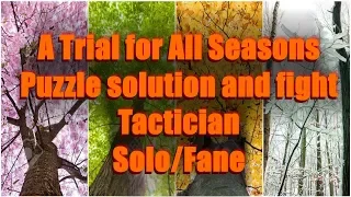 Divinity: Original Sin 2 - A Trial for All Seasons [Solo/Tactician/Fane]