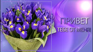 💗Привет тебе от меня💗