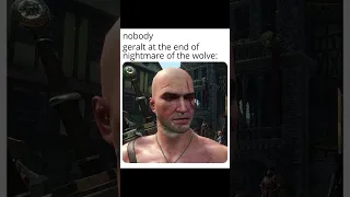 Witcher Memes #11