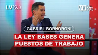 Gabriel Bornoroni: La ley bases genera puestos de trabajo #Milei #LeyBases | Voz y Voto 2024