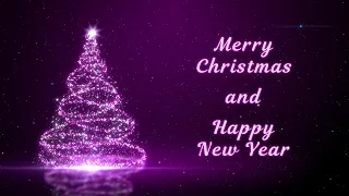 Merry Christmas and Happy New Year 2024!