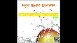 Funky Boogie Brothers - Nothing But A Heartache Every Day