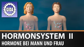 Trailer - Hormonsystem II - Hormone bei Mann und Frau - Biologie - Schulfilm