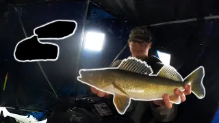 Red Lake Walleye Fishing | 4 Man Limit