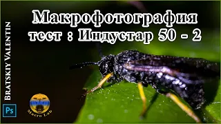 Макрофотография тест Индустар 50 - 2