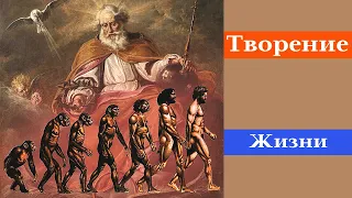 Творение по Писанию-3. Библия говорит, что Бог создал человека из животного. Серьезно???