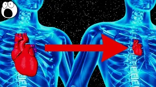 Strange Things That Happen To Your Body In Space