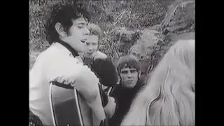 NEW * Catch The Wind - Donovan {Stereo} 1965